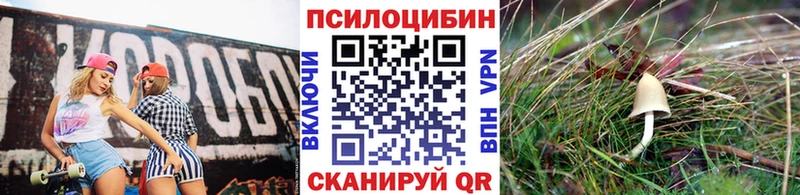 ссылка на мегу закладка Ртищево мориарти телеграм Псилоцибиновые грибы Cubensis
